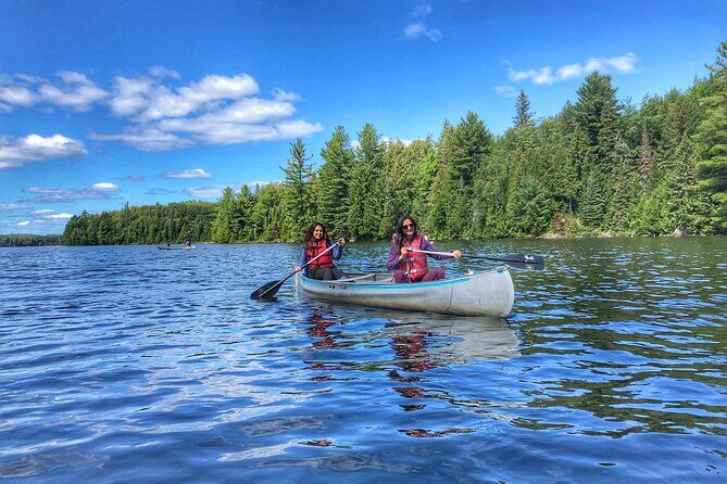 Private Tour or Private Transportation From Toronto Anywhere - Frequently Asked Questions