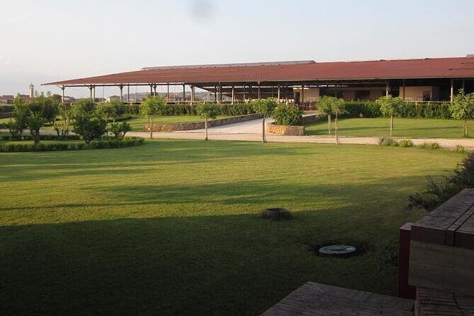 Private Tour: Paestum, Mozzarella Bufala guided tour and lunch - Is This Tour Worth the Price?