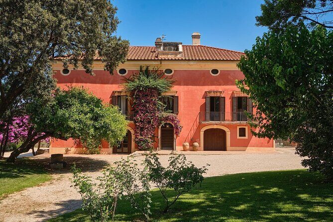 Private Tour: Paestum, Mozzarella Bufala guided tour and lunch - Final Thoughts