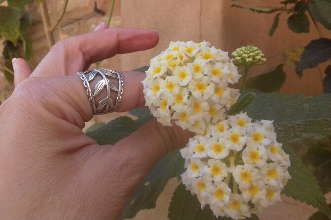 Private tour Palace of Dueñas - An In-Depth Look at the Palace of Dueñas Tour