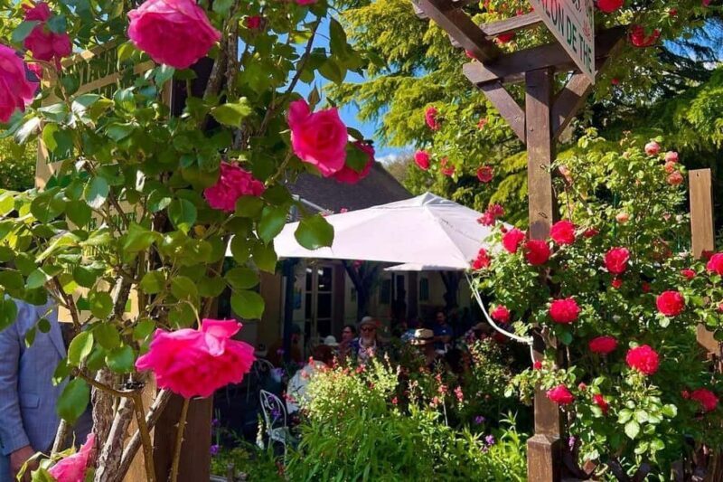 Private Tour Paris: Étretat Cliffs & Monets Gardens + Gift - What Real Travelers Say