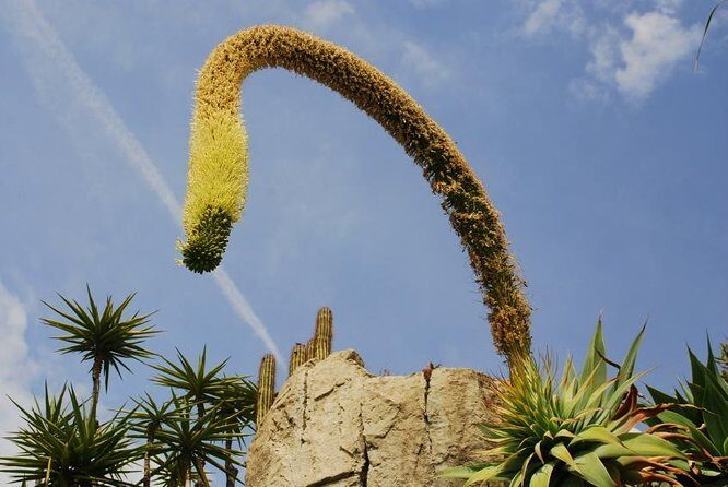 Private Tour: Personal Travel Photographer Tour in Monaco - Exploring Monaco with a Personal Photographer: What You Need to Know