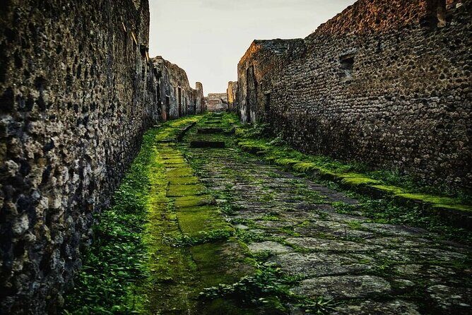 Private Tour Pompeii and Sorrento from Naples - Final Thoughts