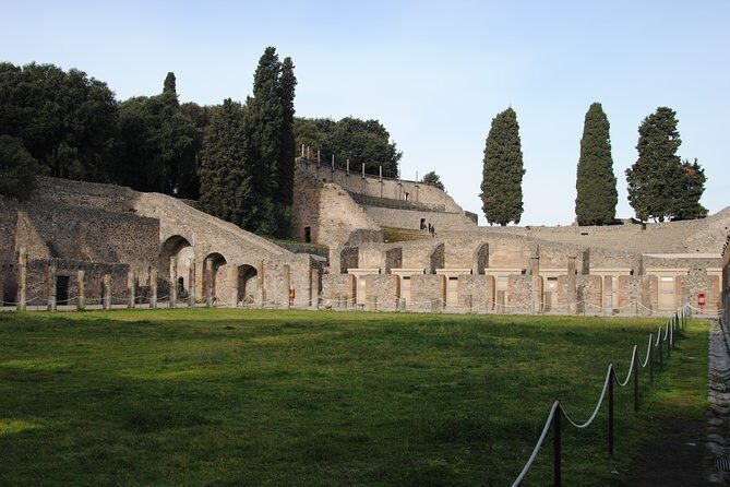 Private tour Pompeii Vesuvius and Winery from Sorrento - Who Is This Tour Best For?