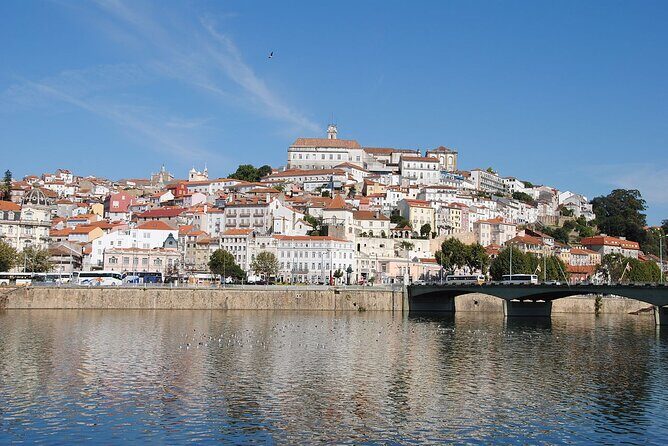 Private Tour: Porto to Lisbon: visit Aveiro,Coimbra,Fatima,Obidos - Final Thoughts