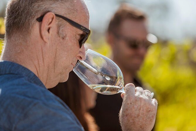Private Tour: Premium Swan Valley Wine Tour from Perth - The Bottom Line