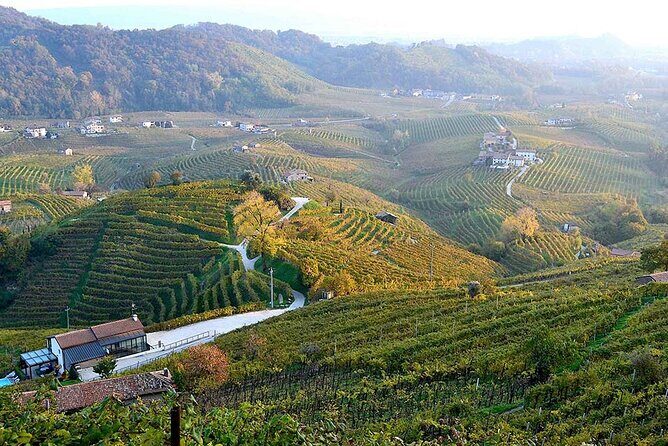 Private Tour: Prosecco Wine Tasting Day Trip with Lunch from Venice - Who Should Consider This Tour?