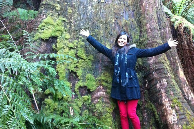 [PRIVATE TOUR] Puffing Billy and Dandenong Mountains - Starting with Puffing Billy