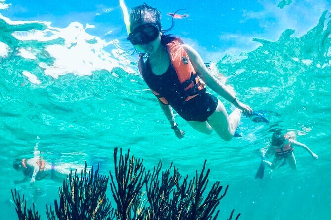 Private Tour Reefs and Corals Puerto Morelos Snorkel Lunch - A Deep Dive into the Puerto Morelos Snorkel & Lunch Experience