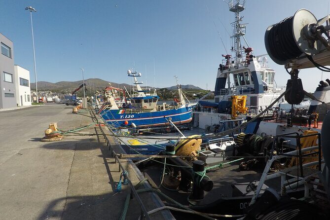 Private Tour: Ring of Beara from Kenmare. - What Travelers Say: Authentic Perspectives