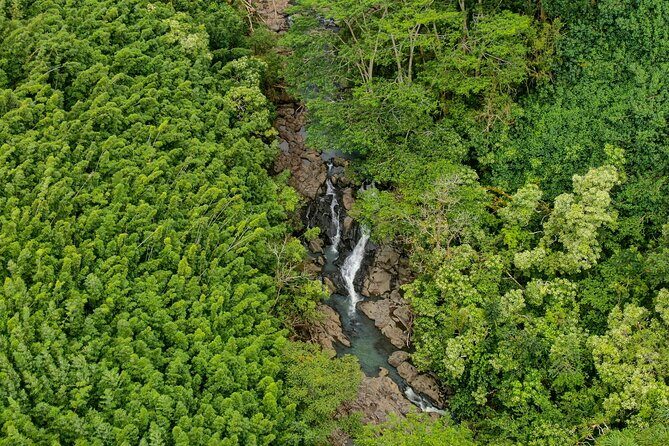 Private Tour Road to Hana Tour from Maui - Final Thoughts