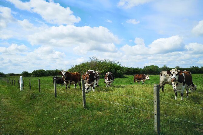 Private Tour: Rouen and Giverny Day Trip from Bayeux - Who Is This Tour Perfect For?