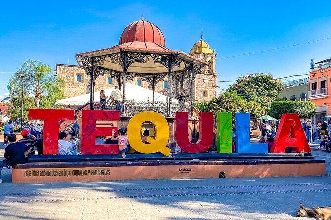 Private Tour Route Elaboration of Tequila in Guadalajara - Introduction