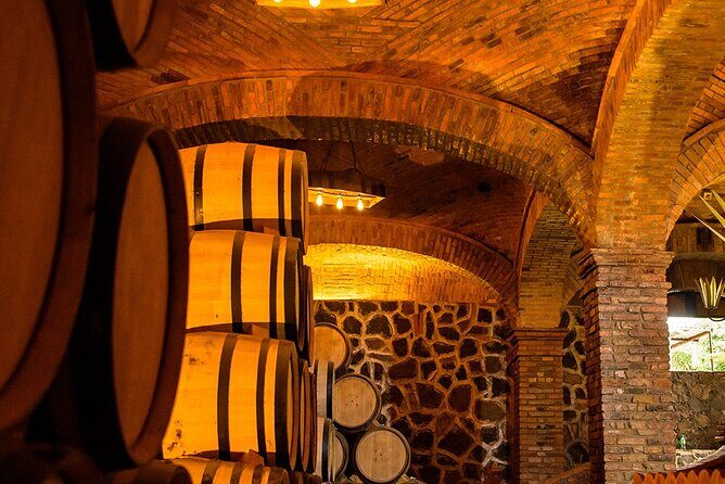 Private Tour Route Elaboration of Tequila in Guadalajara - Transportation and Timing