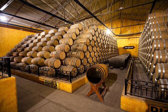 Private Tour Route Elaboration of Tequila in Guadalajara - Who Is This Tour Best For?