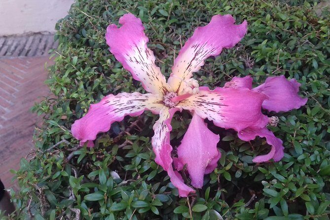 Private tour Royal Palace+Cathedral+old Jewish neighbourhood - A Closer Look at the Experience