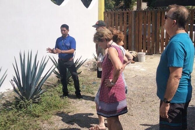 Private Tour, Sayulita & San Pancho - Who Is This Tour Best For?