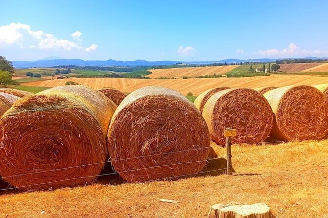PRIVATE TOUR "Sweet Hills of Chianti and San Gimignano" with Lunch & 2 Tastings - An In-Depth Look at the Tour