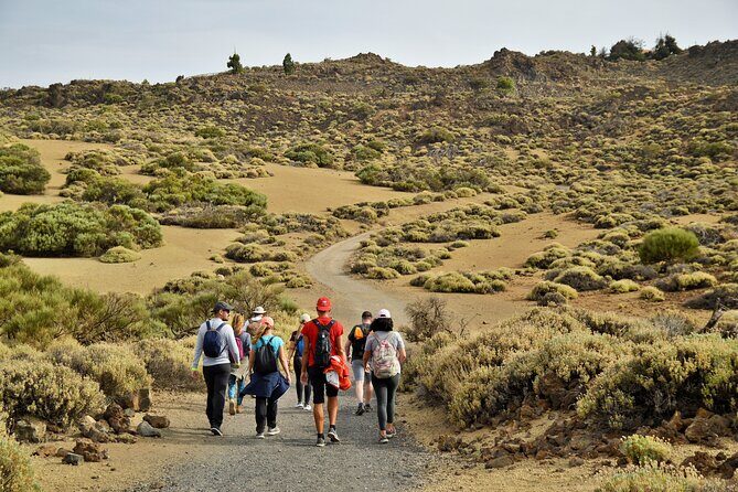 PRIVATE TOUR Teide National Park: Hiking and Stargazing - Breaking Down the Cost and Value