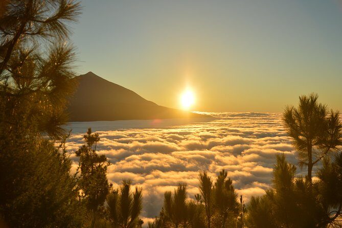 PRIVATE TOUR Teide National Park: Hiking and Stargazing - Final Thoughts