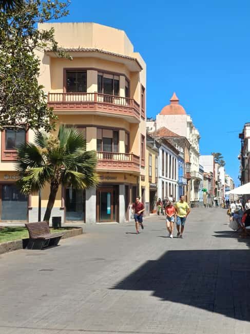 Private Tour Tenerife: Anaga, Taganana, Benijo & La laguna - An Introduction to the Experience