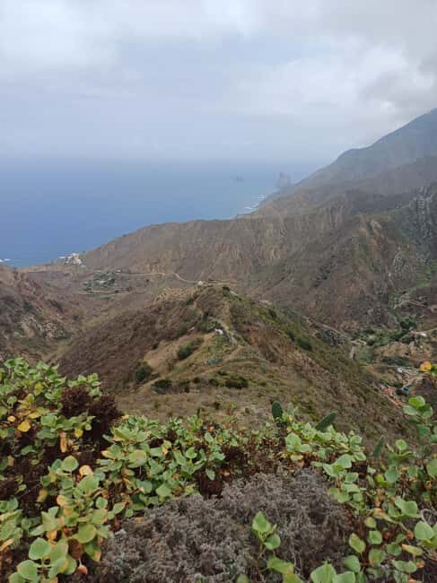Private Tour Tenerife: Anaga, Taganana, Benijo & La laguna - What Makes This Tour Stand Out
