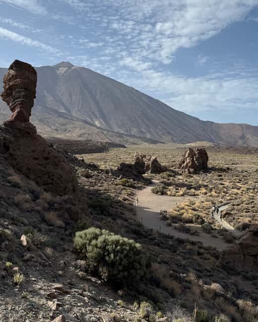 Private tour Tenerife: Teide National Park + Restaurant - Key Points