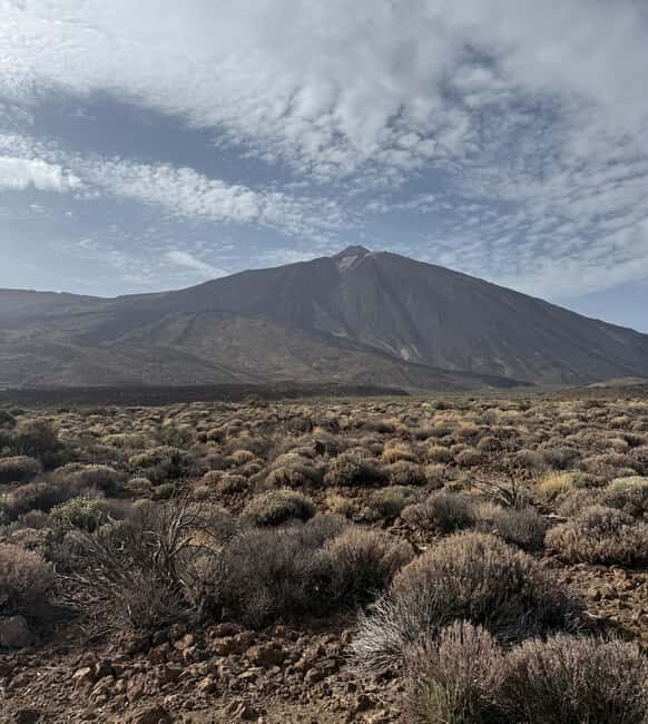 Private tour Tenerife: Teide National Park + Restaurant - Final Thoughts