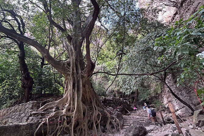 Private Tour Tepoztlán and Temazcal Spiritual Experience - FAQ Section