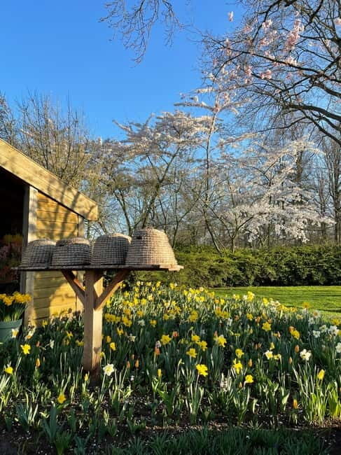 Private Tour, Tesla from Amsterdam: Keukenhof & Tulip Fields - Exploring the Dutch Spring: A Closer Look at the Private Tesla Tour to Keukenhof & Tulip Fields