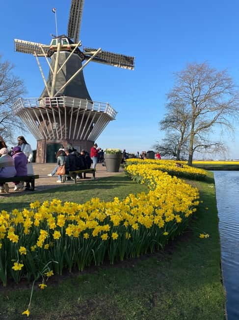 Private Tour, Tesla from Amsterdam: Keukenhof & Tulip Fields - Key Points