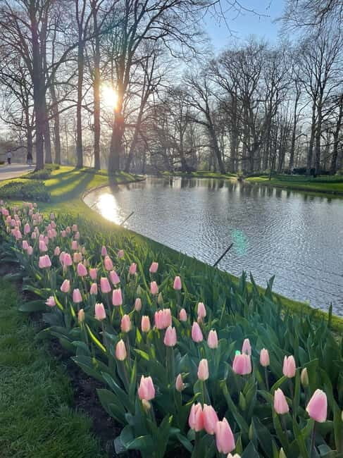 Private Tour, Tesla from Amsterdam: Keukenhof & Tulip Fields - FAQ