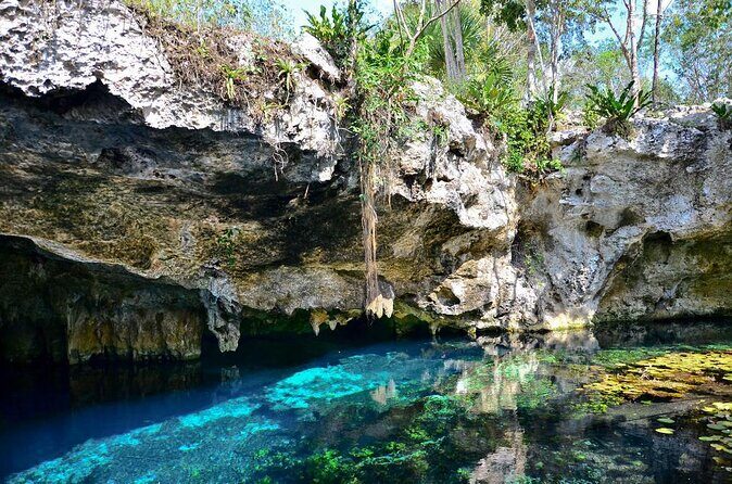 Private Tour The Best Cenotes in Tulum Riviera Maya - Introduction