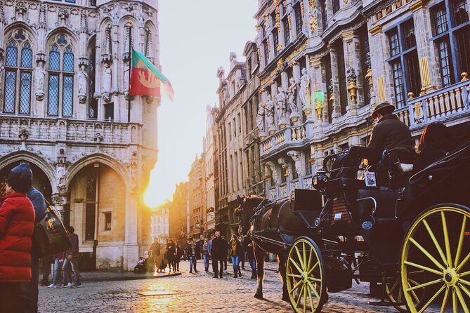 Private Tour: The Dark Side of Brussels - Practicalities and Considerations