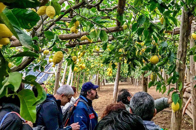 Private Tour: The Path of the Lemons - Who Should Consider This Tour?