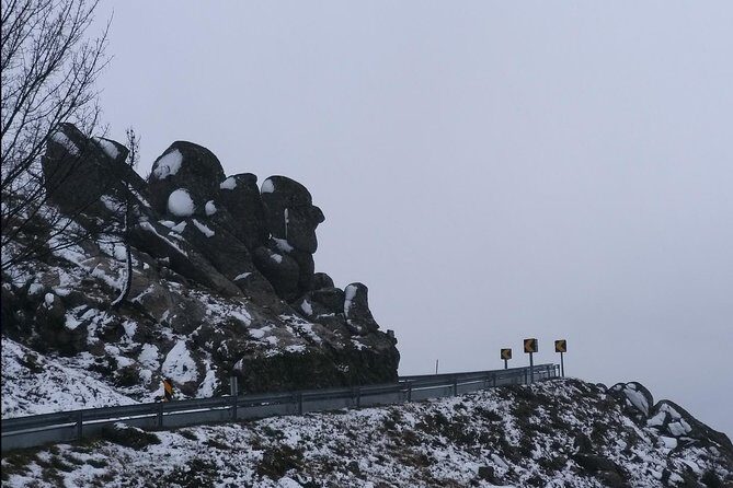 Private Tour through Serra da Estrela Park and its famous cheese - Key Points