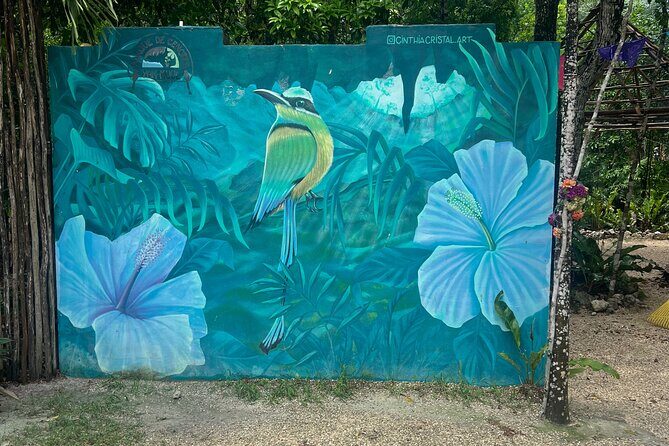 Private Tour to 4 Cenotes - Key Points