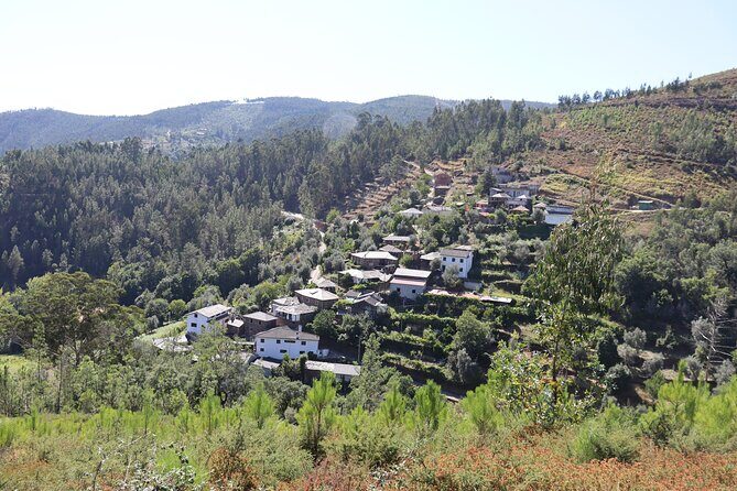 Private Tour to Arouca 516 Bridge and Passadiços do Paiva - Who Will Love This Tour?