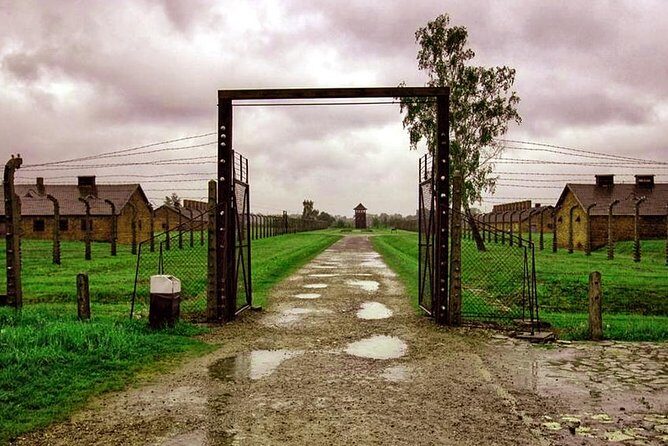 Private Tour to Auschwitz & Birkenau from Katowice - Analyzing Value and Cost