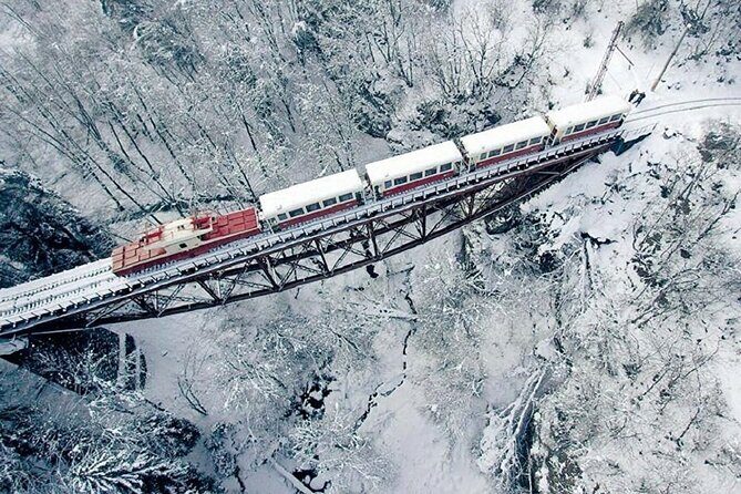 Private Tour to Bakuriani Ski Resort and the Legendary Borjomi - Exploring the Georgia Mountain Escape: Bakuriani Ski Resort & Borjomi