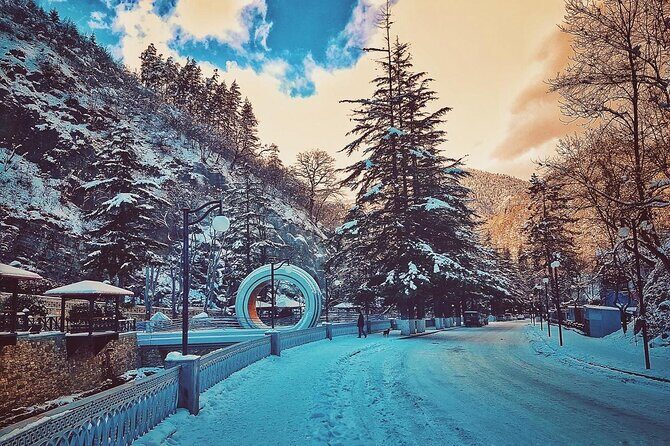 Private Tour to Bakuriani Ski Resort and the Legendary Borjomi - Who Should Consider This Tour?