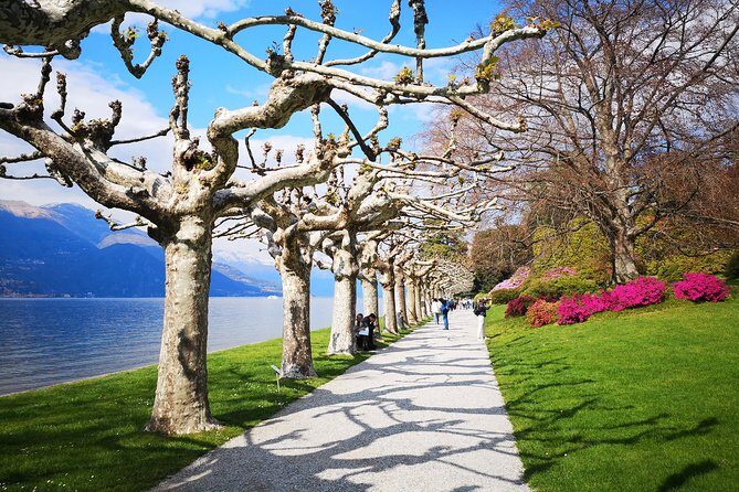 Private Tour to Bellagio and Lake Como from Stresa - The Sum Up