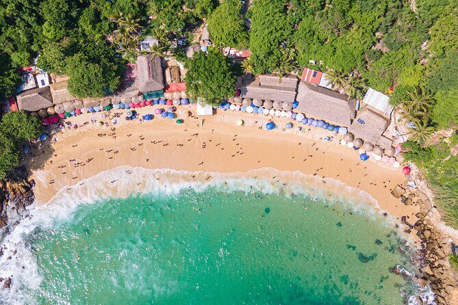 Private Tour to Carrizalillo Mirador Turtles and Release Turtles - Exploring the Private Huatulco Tour: Carrizalillo, Mirador, and Turtle Release