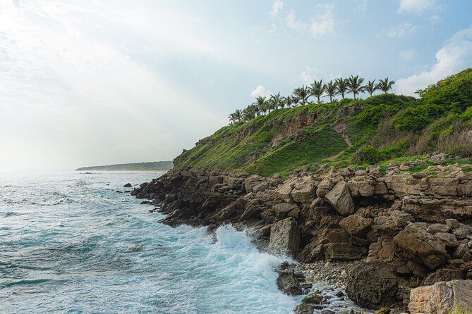 Private Tour to Carrizalillo Mirador Turtles and Release Turtles - Who Will Appreciate This Tour?