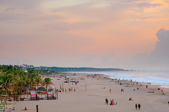 Private Tour to Carrizalillo Mirador Turtles and Release Turtles - The Sum Up