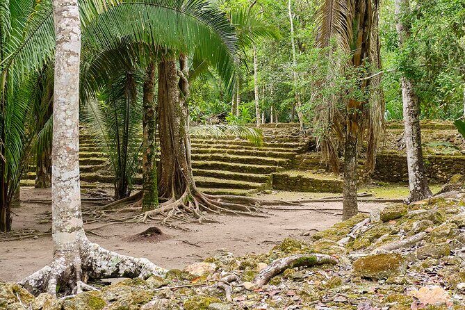 Private Tour to Chacchoben Mayan Ruins & beach - Who Should Consider This Tour