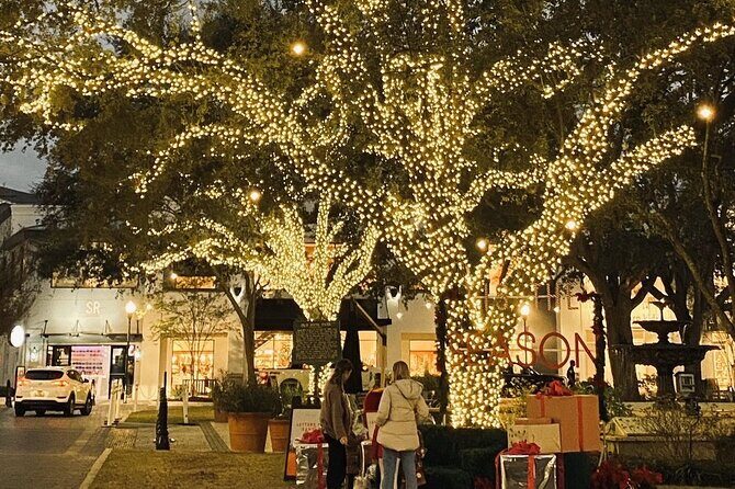 Private Tour to Christmas Winter Village, Bayshore and Hyde Park - Practical Tips & Considerations