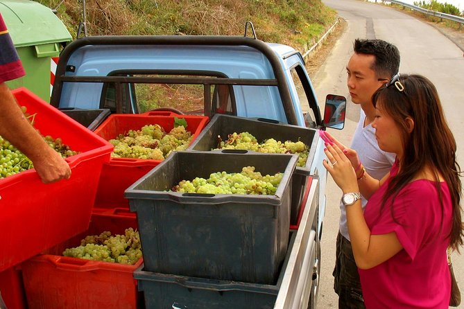 Private Tour to Cinque Terre from Florence - Stop 1: Manarola village time at Borgo Storico di Manarola