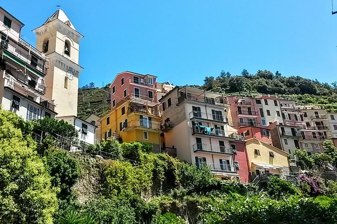 Private Tour to Cinque Terre from Florence - Stop 2: Vernazza with lunch freedom and cliffside views