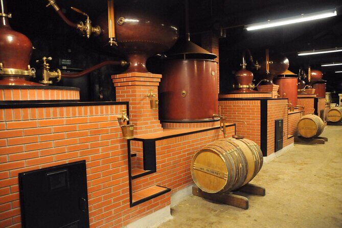 Private Tour to Cognac from Bordeaux - Who Is This Tour Best For?